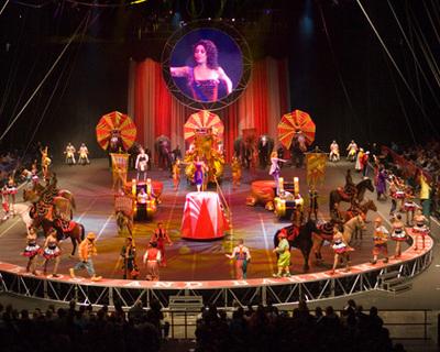 Дэлхийн 14 орны циркчид Монголд чуулна